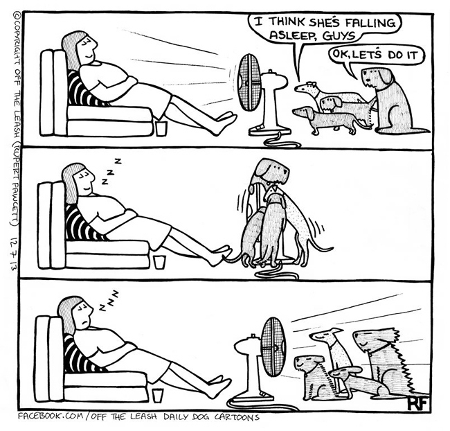 The Heatwave - Off The Leash Dog Cartoons by Rupert Fawcett