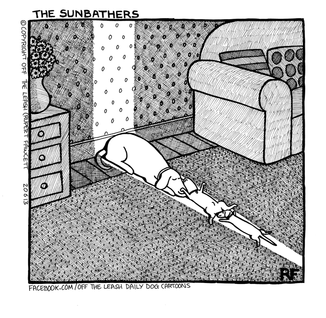 ‘Sunbathers’ © Off The Leash Dog Cartoons by Rupert Fawcett
