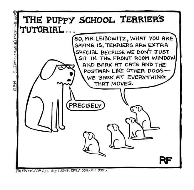 Off The Leash - Puppy School