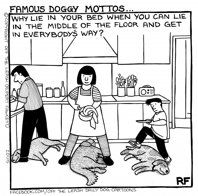 A Famous Doggy Motto