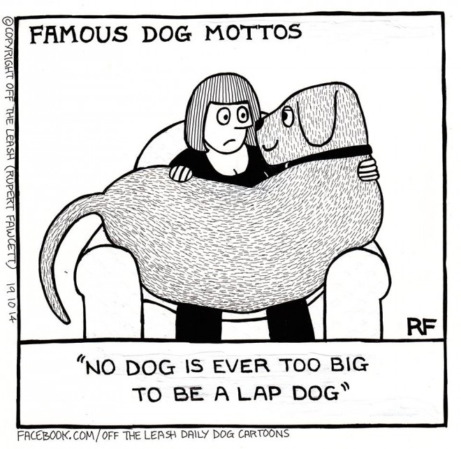 Another Famous Dog Motto...