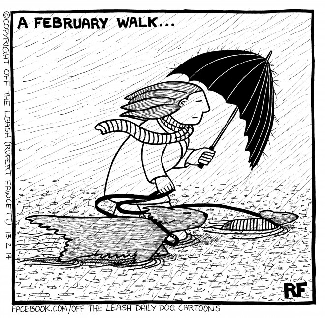 A February Walk...