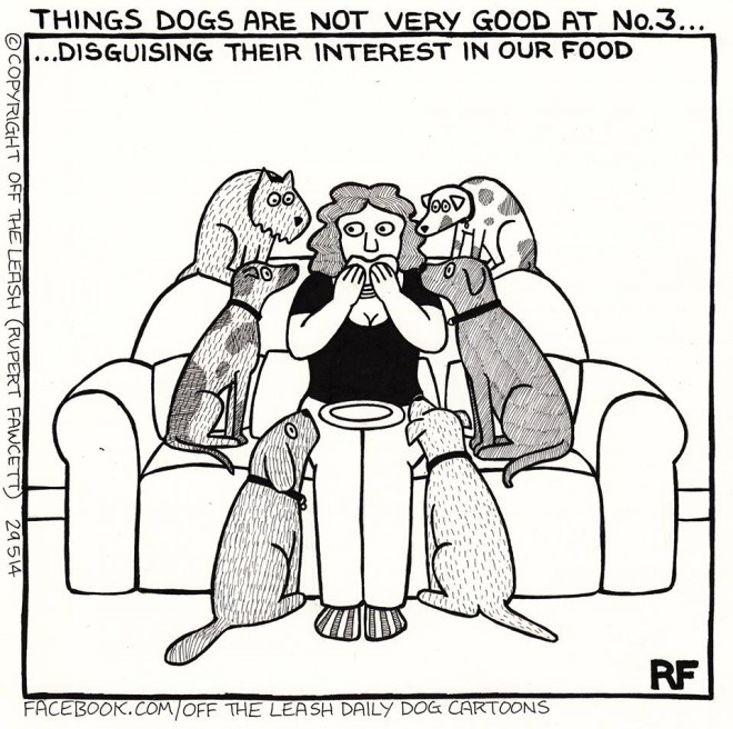 Another thing dogs are not very good at...