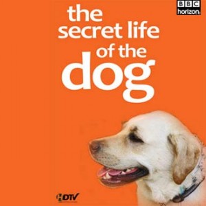 Secret Lives of Dogs BBC