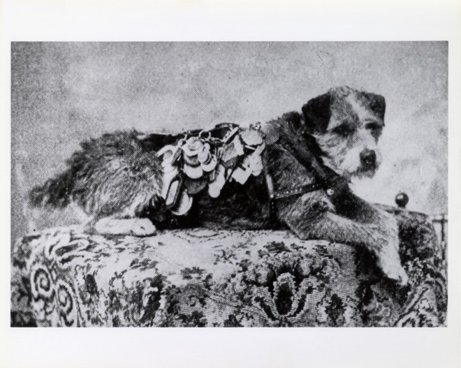 Omney The Postal Dog Credit - Wikipedia