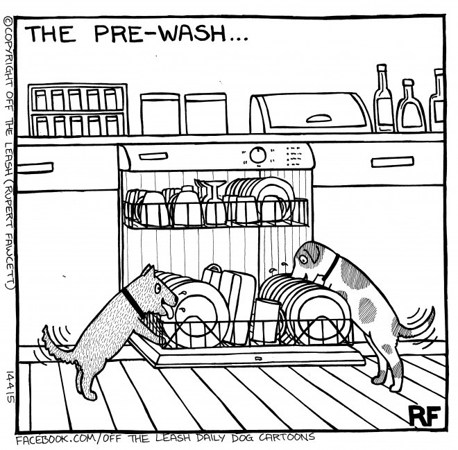 The Pre-Wash