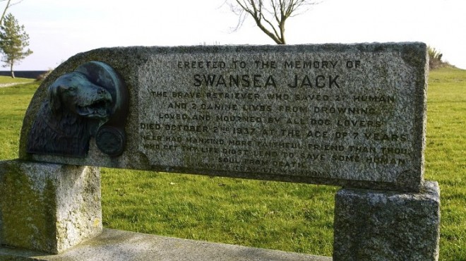 A fitting tribute for Swansea Jack