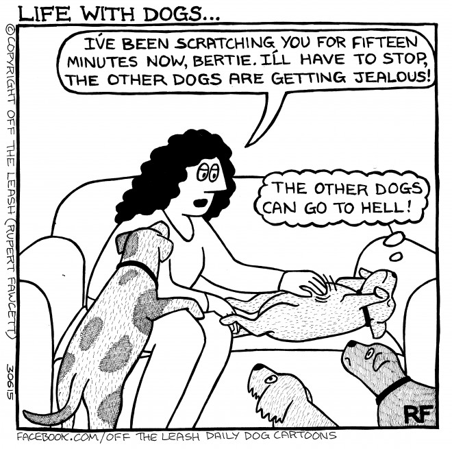 Life With Dogs © Off The Leash / Rupert Fawcett