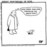 The Great Mystery...
