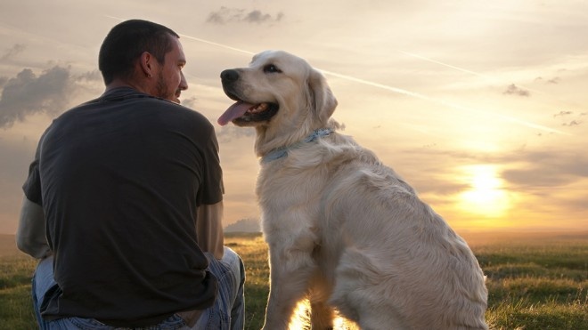 5 Heartwarming Stories That Prove Dog Is Man’s Best Friend