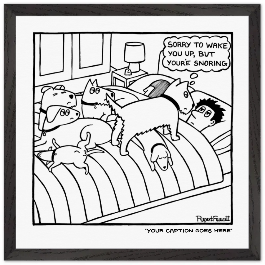 Sorry To Wake You Upš - Framed Print