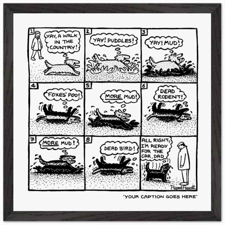 Yay, A Walk In The Country - Framed Print