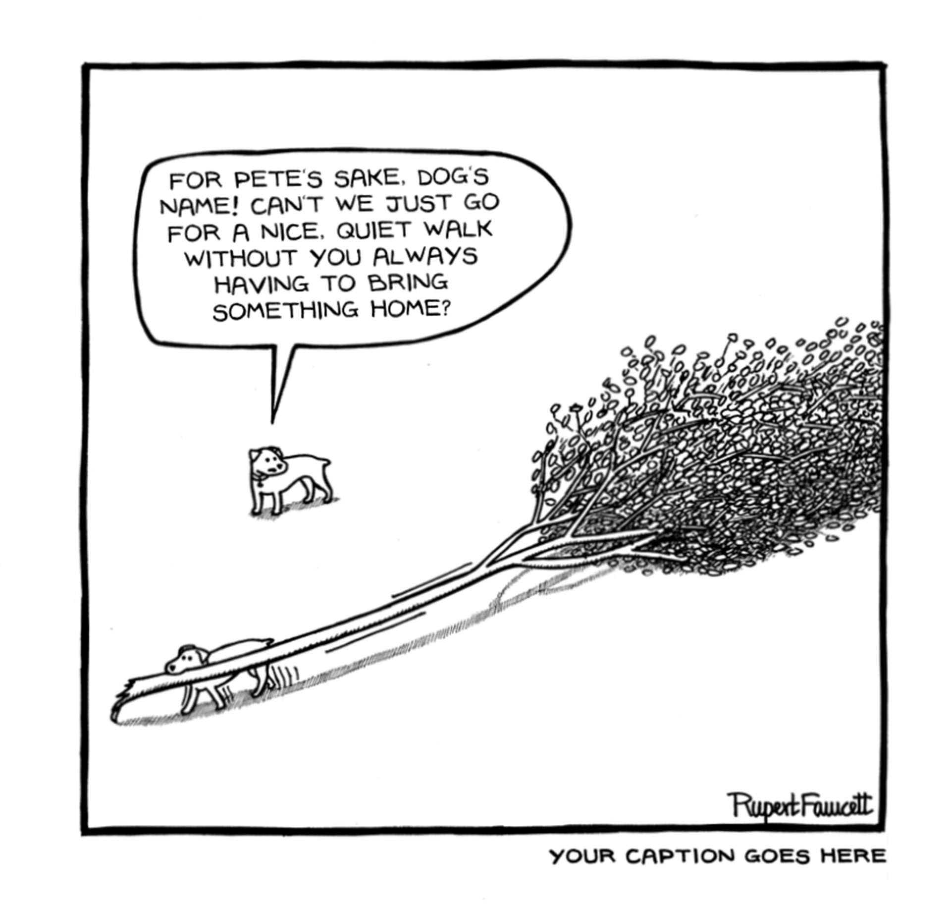 For Pete's Sake Bertie