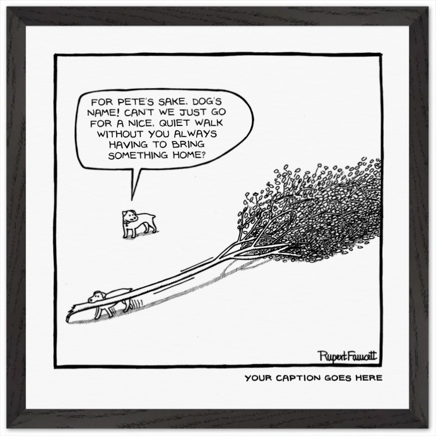 For Pete's Sake Bertie - Framed Print