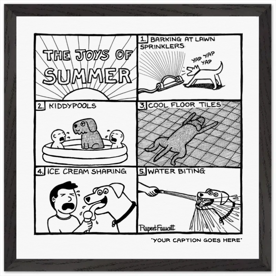 The Joys Of Summer - Framed Print