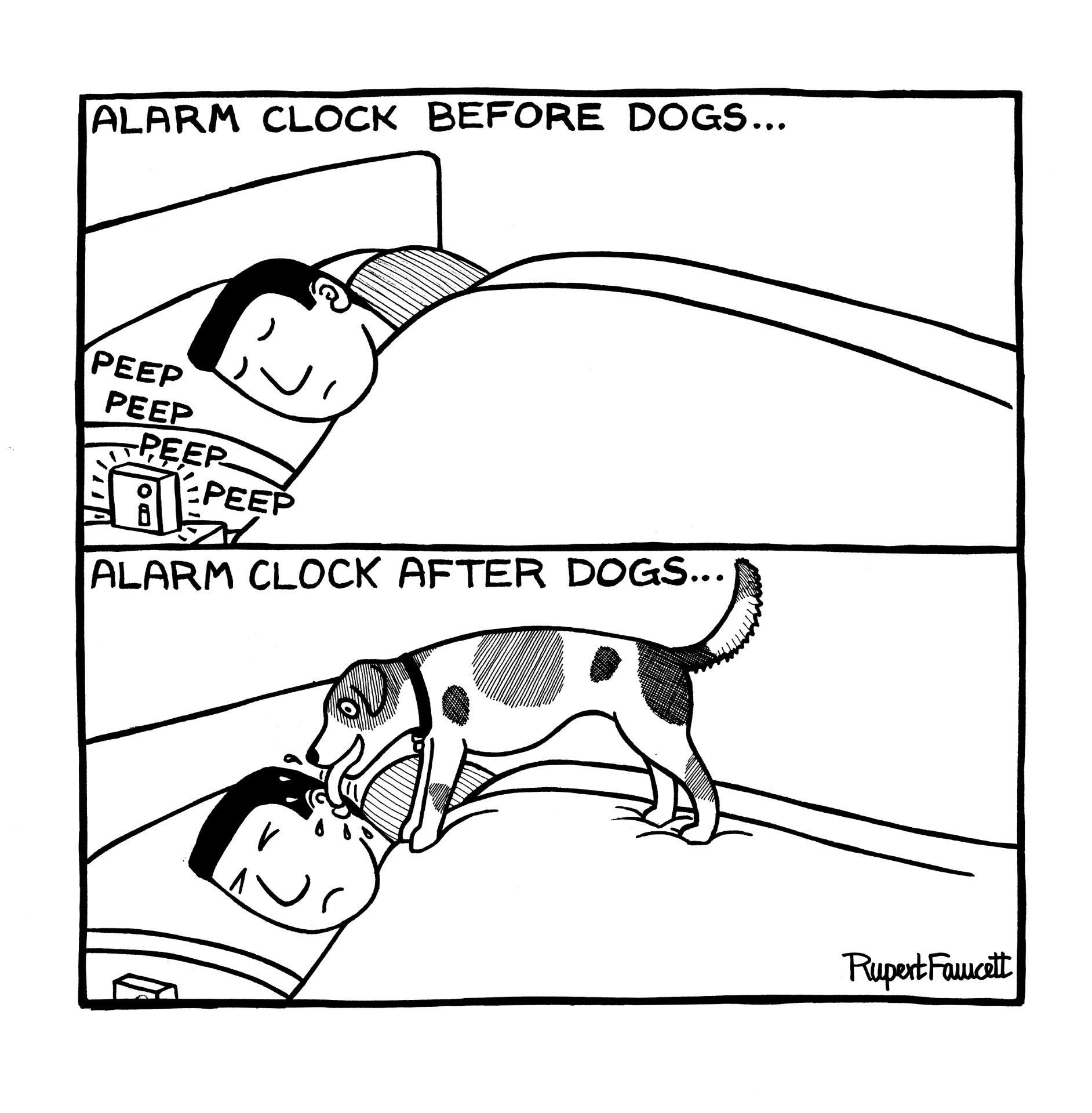 Alarm Clock Before & After Dogs