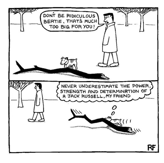 Don't Be Ridiculous Bertie...