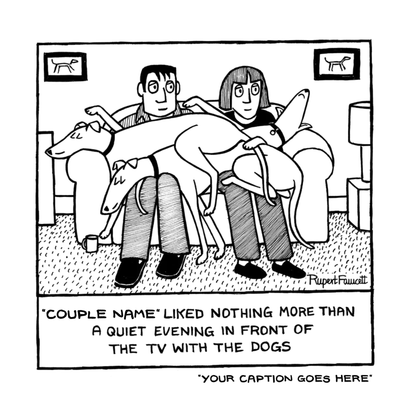 A Quiet Evening In Front Of The TV