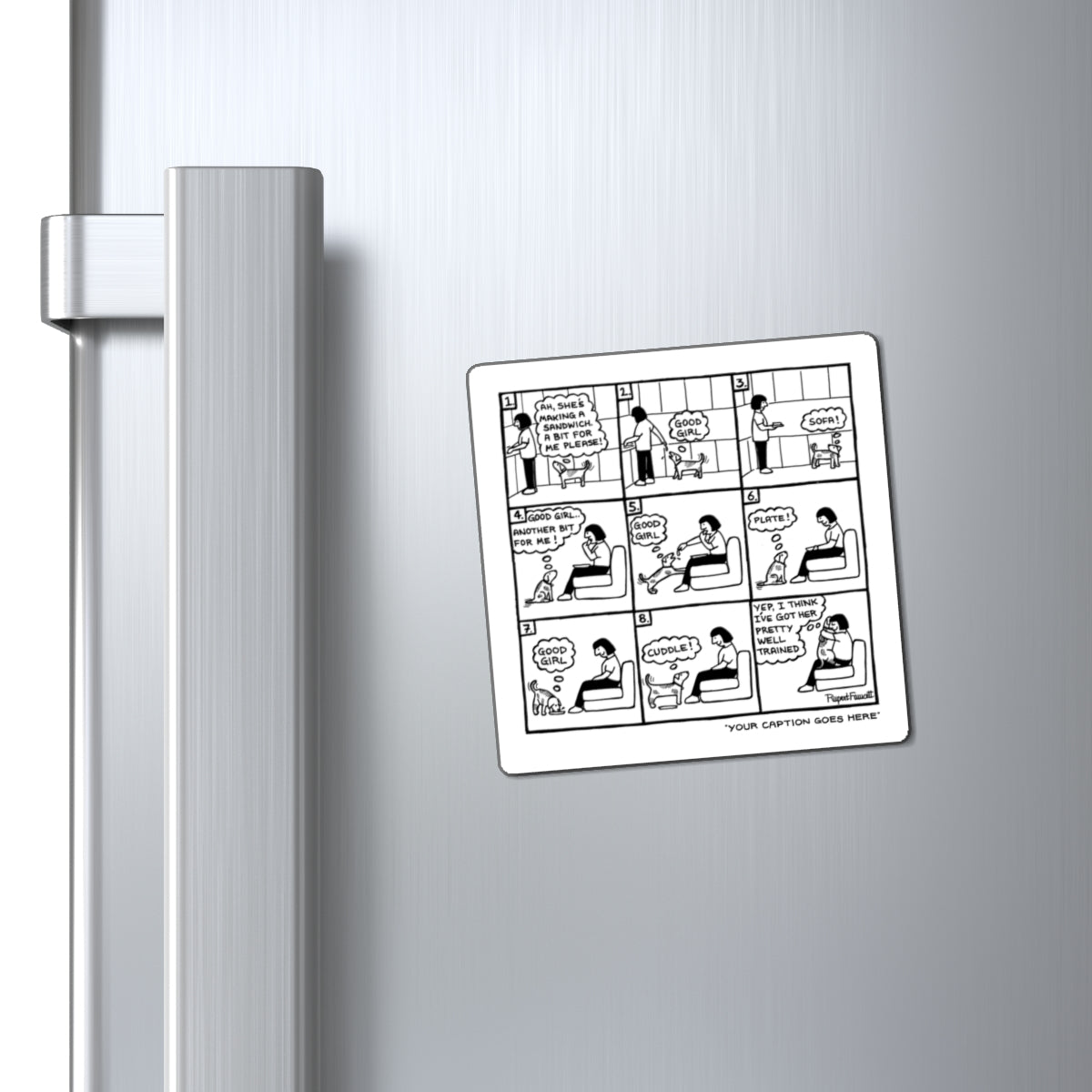 The Well Trained Human - Magnets