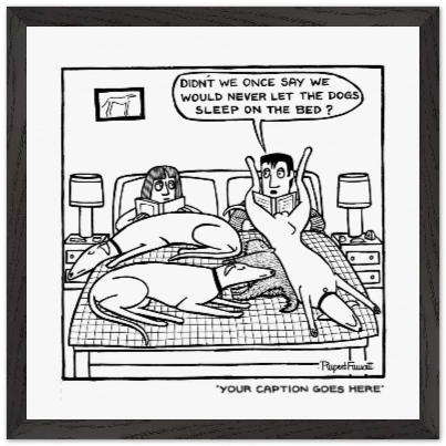Didn't We Say We Would Never Let The Dogs Sleep On The Bed - Framed Print