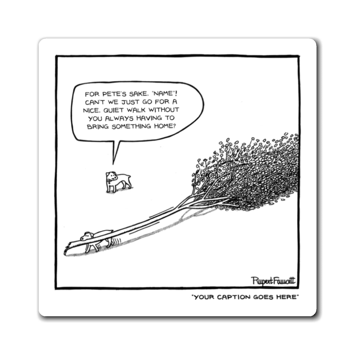 For Pete's Sake Bertie - Magnets