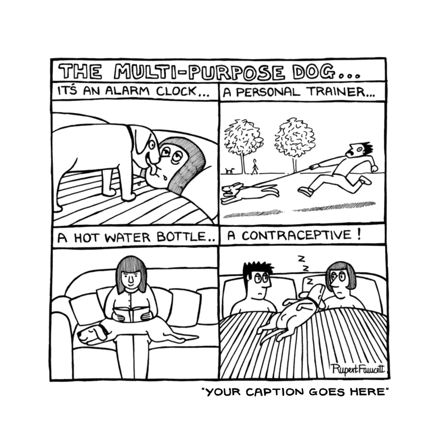 The Multi-Purpose Dog